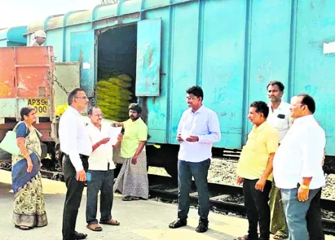 పల్నా