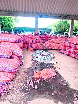 ఉల్లి