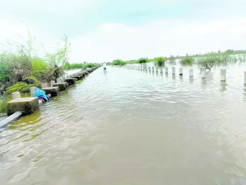 గోదావ