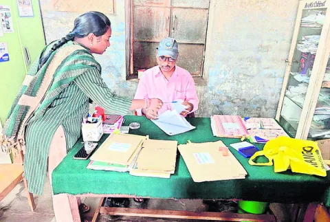 పశు స