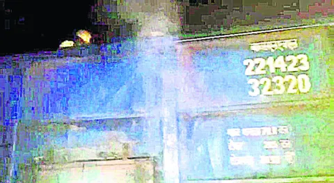 తేనెట