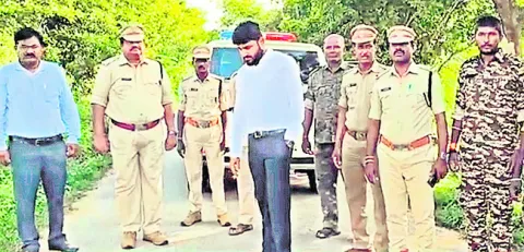 ఒంటరి ఏనుగు దాడిపై విచారణ 