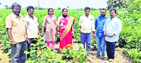 పంటల నమోదు వేగవంతం చేయాలి 