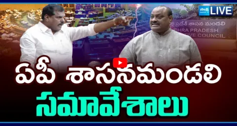 Watch Live AP Legislative Council Sessions 2025 1