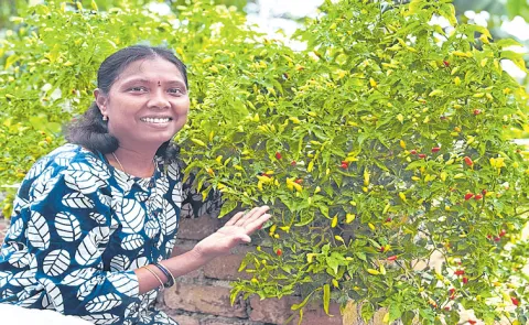 light weight terrace garden Gajawada swaroopa