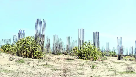 కూటమి
