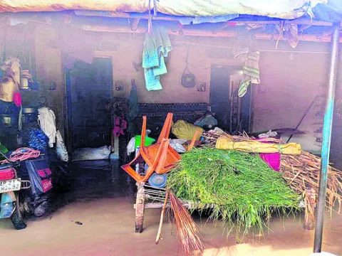 ఉరిమి