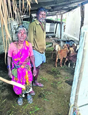 చౌకబా