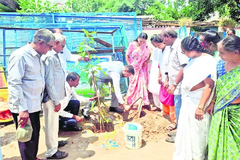 ప్రతి ఒక్కరూ మొక్కలు నాటాలి