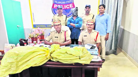 గంజాయి సాగుచేసిన వ్యక్తికి రిమాండ్‌ 