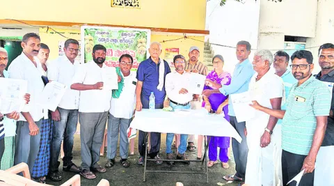 అరటి సాగు చేయండి