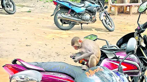 మూత ఎట్ల తీయల్నో!
