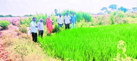 రైతులు సూచనలు పాటించాలి