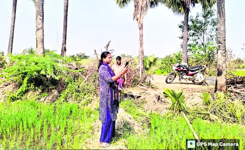 AEO conducting a crop survey in Kaleshwaram recently