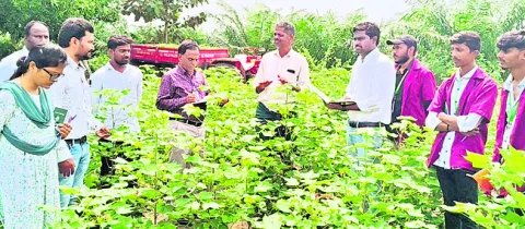 ఆధునిక పద్ధతుల్లో పంటలు సాగు చేయాలి 
