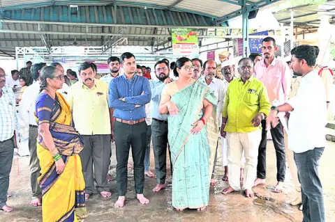 బాసరల