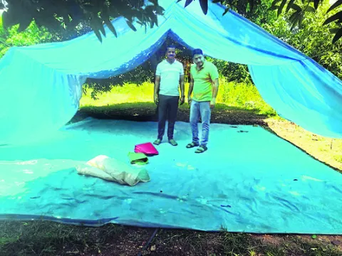 పేకాట