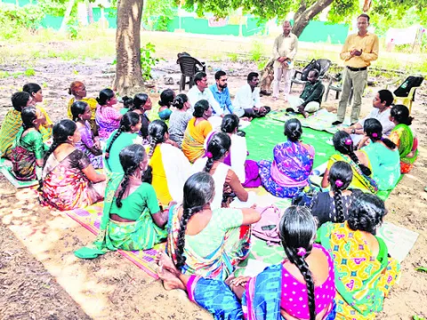 పెరటి కోళ్ల పెంపకంతో ఆర్థికాభివృద్ధి