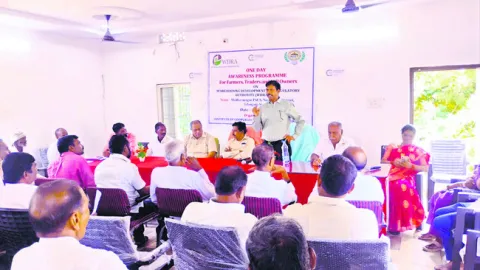 అనుకూల సమయాల్లో పంటలు విక్రయించుకోవాలి 