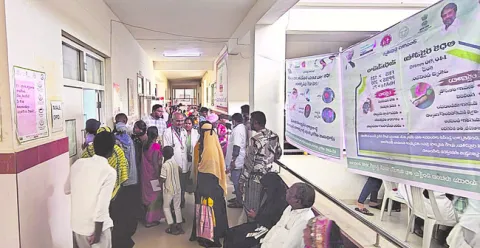 సరైన 