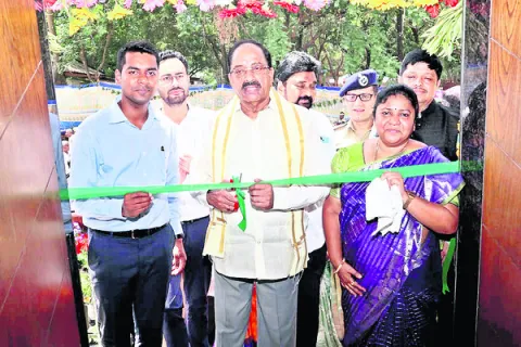 పనికొచ్చే మొక్కలు పెంచండి..
