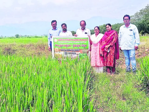 మధ్యవ