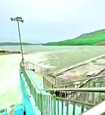 విద్య