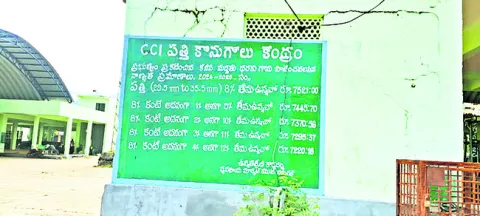 పత్తి