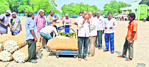 పత్తి