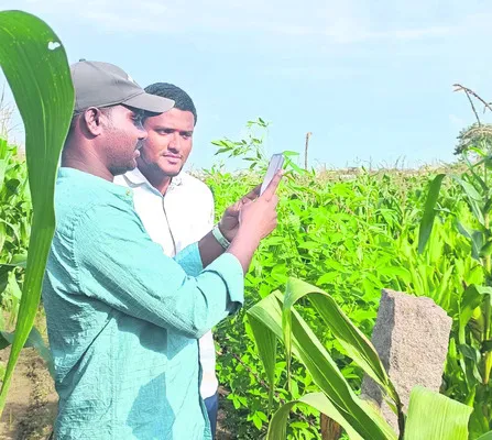 డిజిటల్‌ క్రాప్‌ సర్వే షురూ 