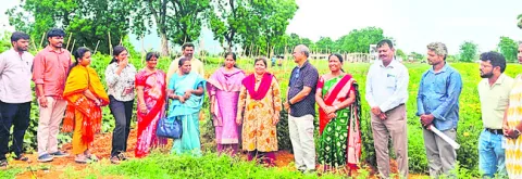 ప్రకృతి వ్యవసాయ క్షేత్రాల పరిశీలన 