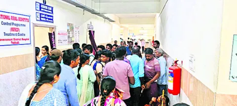 మంచం పట్టిన చింతలగార 