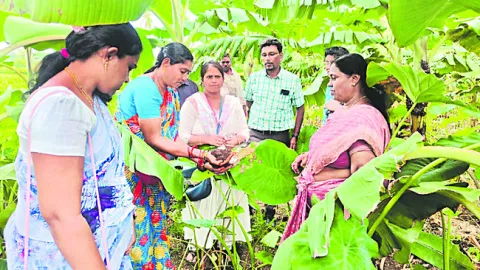 ప్రకృతి వ్యవసాయ క్షేత్రాల సందర్శన 