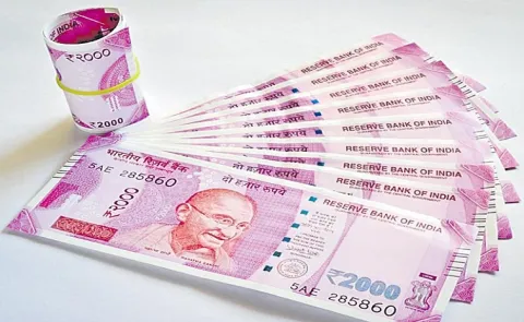 Rs 2000 notes worth Rs 5956 crore still in circulation RBI