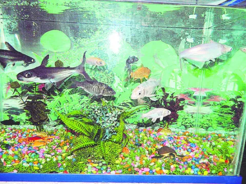 ఆనందమ