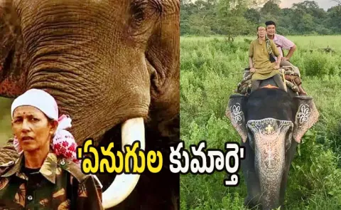 Parbati Barua Who Broke Barriers As Indias First Lady Mahout 
