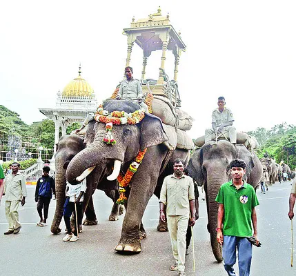 నాడ హ