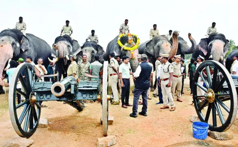 ఫిరంగ