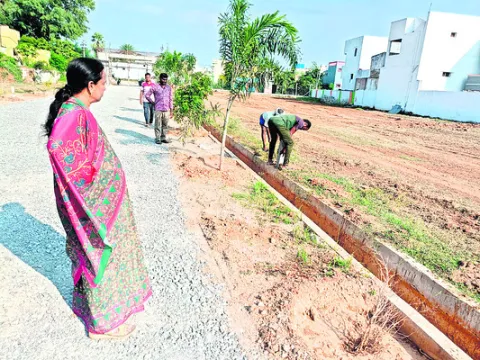 క్రమబద్ధకం