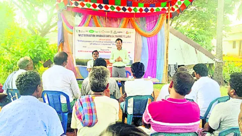 మొక్కజొన్నతో   ఇథనాల్‌ ఉత్పత్తి 
