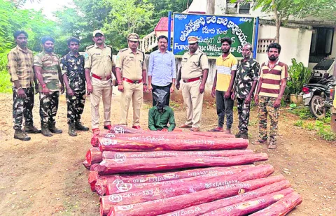 ఎర్రచ