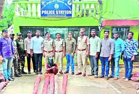 ఐదు దుంగలు స్వాధీనం 