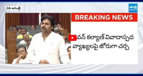 Pawan Kalyan Controversy Comments On People In Assembly 2