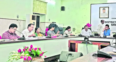 కొత్తమ్మతల్లి జాతరకు సర్వం సిద్ధం 