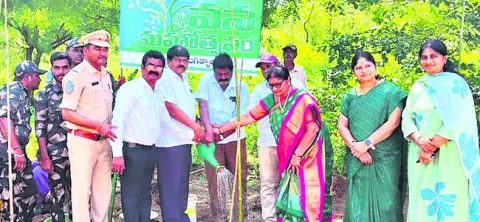 హైకోర
