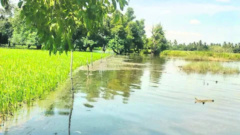 ఆర్టీ