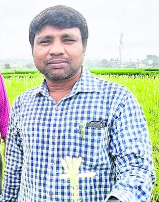 తోట వ