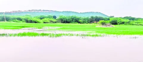 కుండప