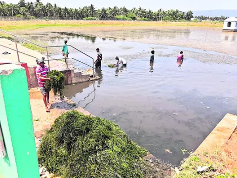 భక్తు