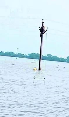 విద్య
